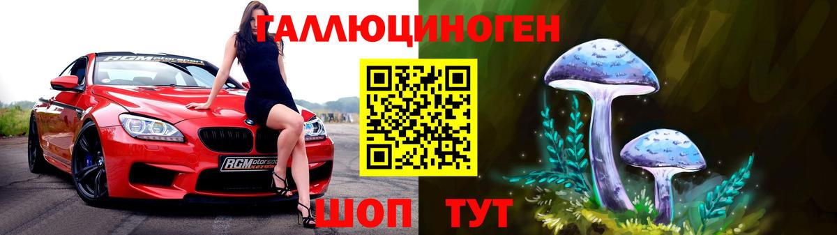 Сорочинск  Галлюциногенные грибы Cubensis  Вход с VPN 